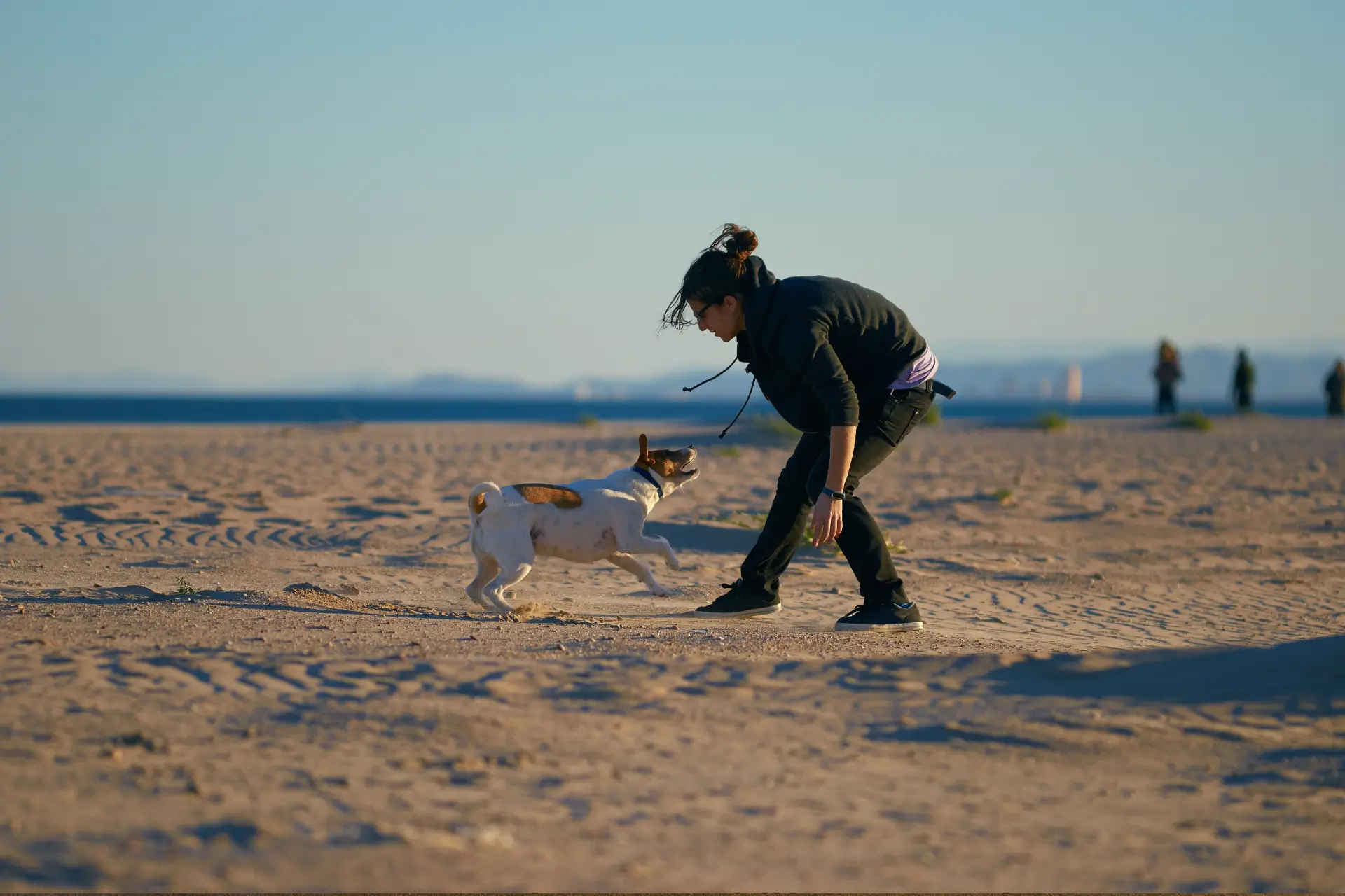 Pet friendly retreat